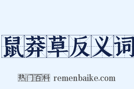 鼠莽草反义词是什么意思的图片